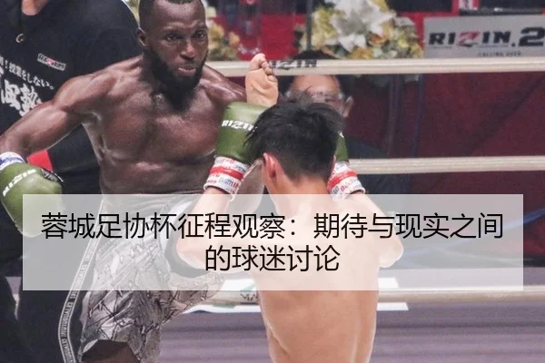 蓉城足协杯征程观察：期待与现实之间的球迷讨论